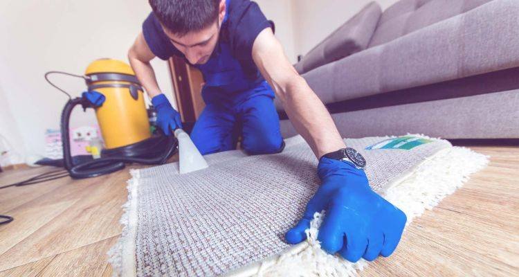Carpet Cleaning Prices