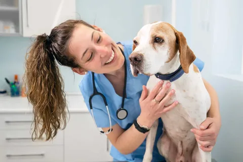 Essential Pet Care Tips Every Owner Should Follow
