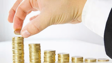 Growing Wealth Made Simple: A Complete Guide to Mutual Funds in the UAE