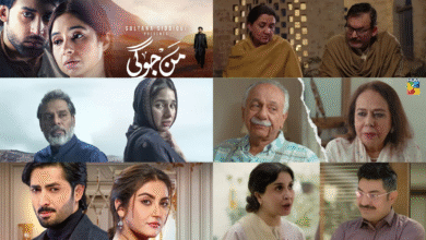10 Best Pakistani Drama Series to Watch in 2025
