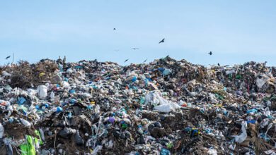Waste Management