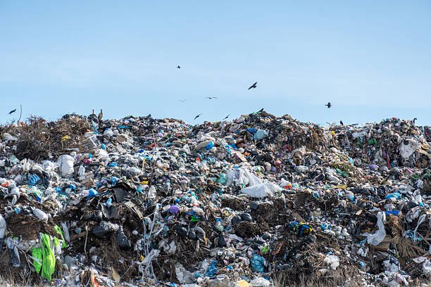 Waste Management